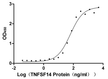 Human TNFRSF14 Protein蛋白，orb70