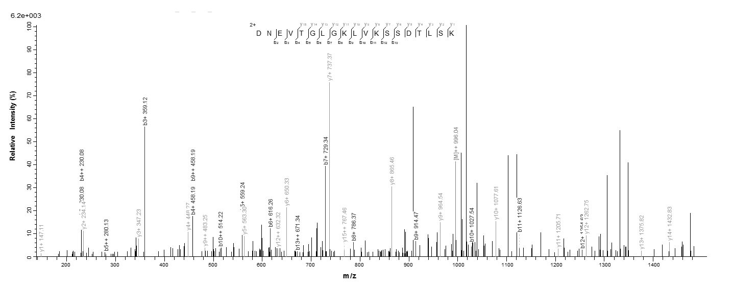 Bacteria tbp1 Protein蛋白，orb605