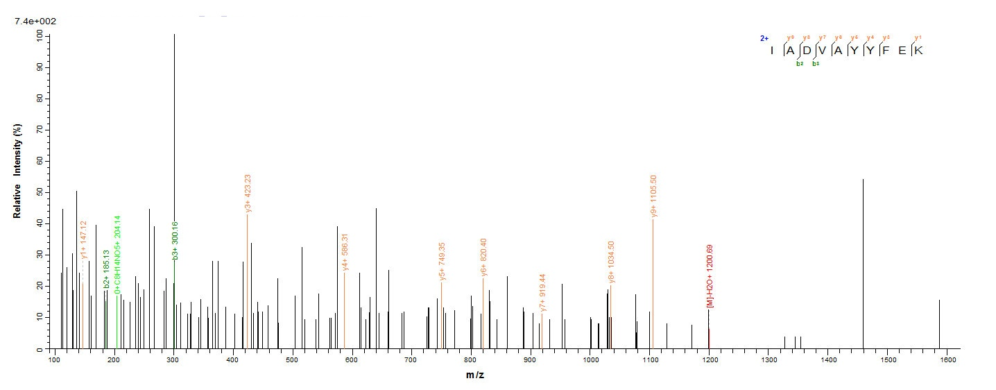 Human EpCAM Protein蛋白,orb60407
