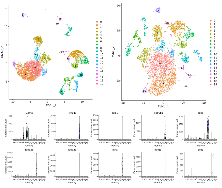 单细胞表观多组学ATAC+WTA
