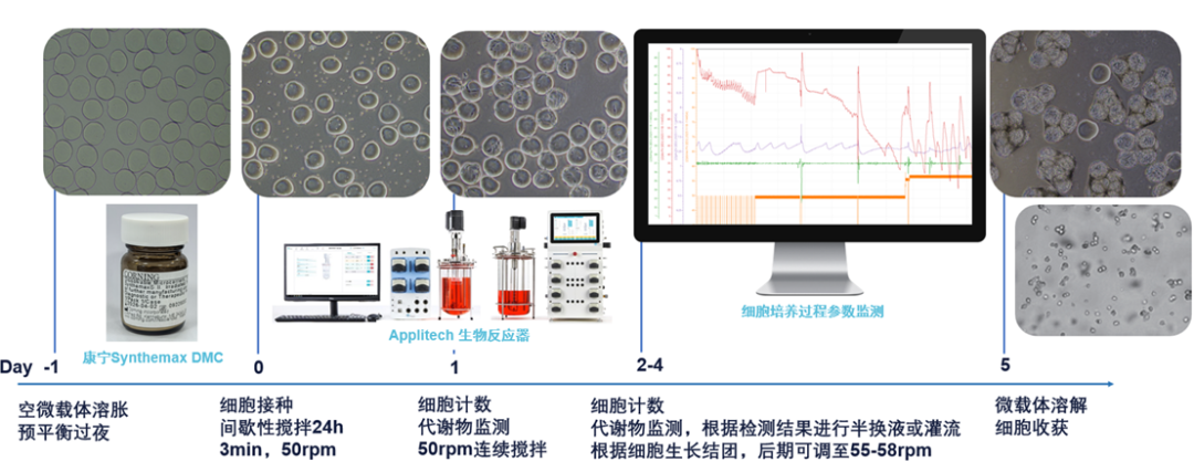 康宁可溶性微载体结合生物反应器及无血清培养基：解锁MSC规模化悬浮扩增方案