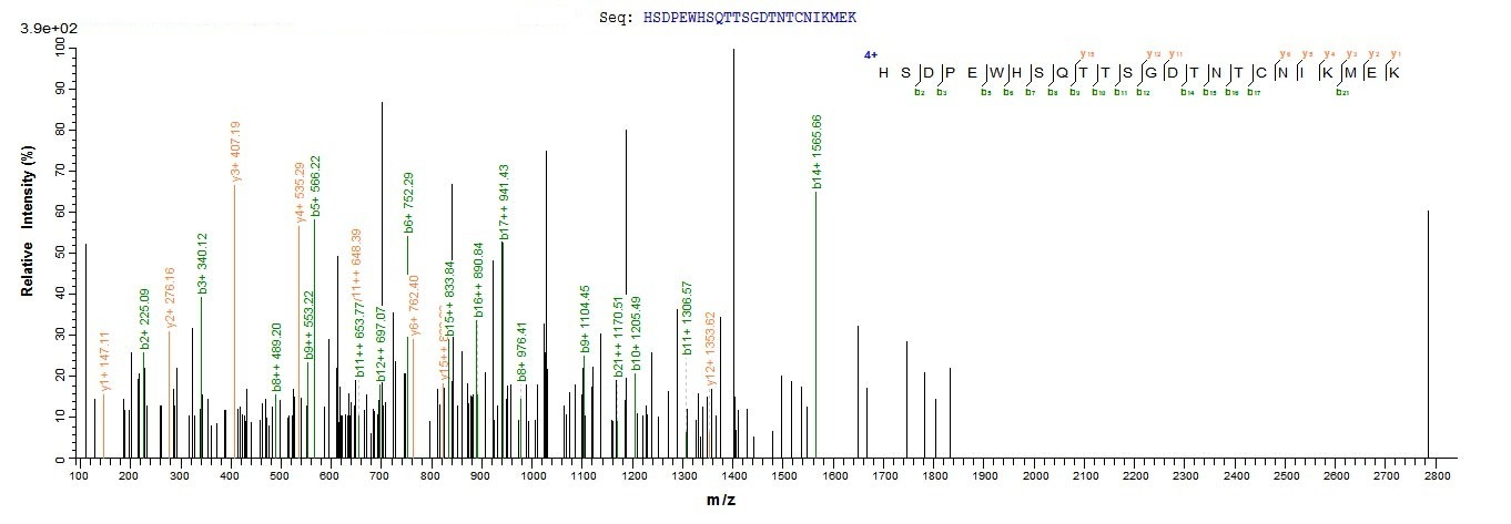 Mouse Pcnt Protein蛋白，orb604299