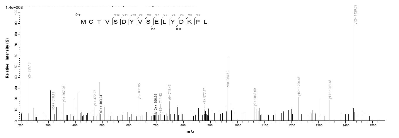 Virus PS/HR Protein蛋白，orb59505