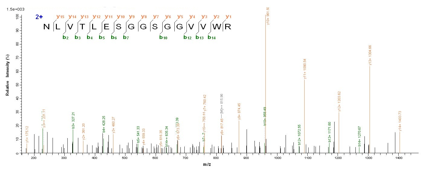 Human FBXW7 Protein蛋白，orb54702