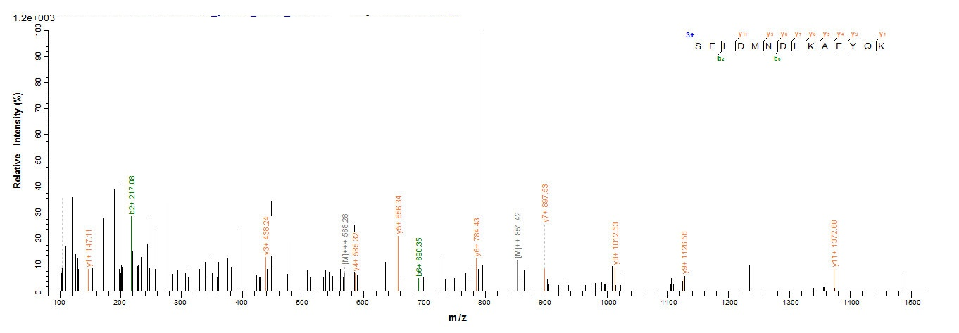 重组蛋白 Human Annexin A1(ANX1),pa