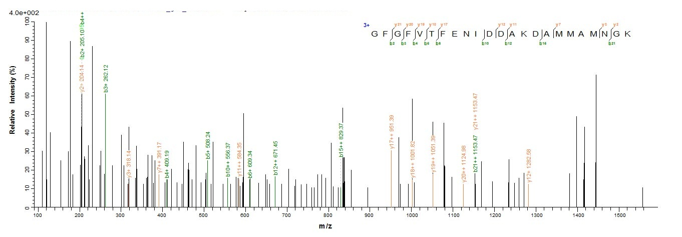 Mouse Cirbp Protein蛋白，orb60397