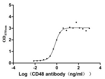 Human CD48 Protein蛋白,orb624104