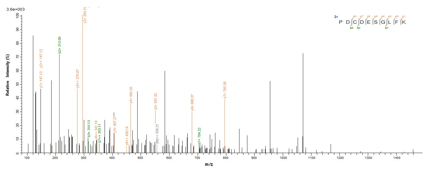 Human EpCAM Protein蛋白,orb60407