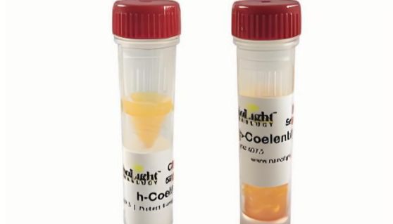 报告基因检测与活体成像研究的核心底物-天然腔肠素 （CTZ）