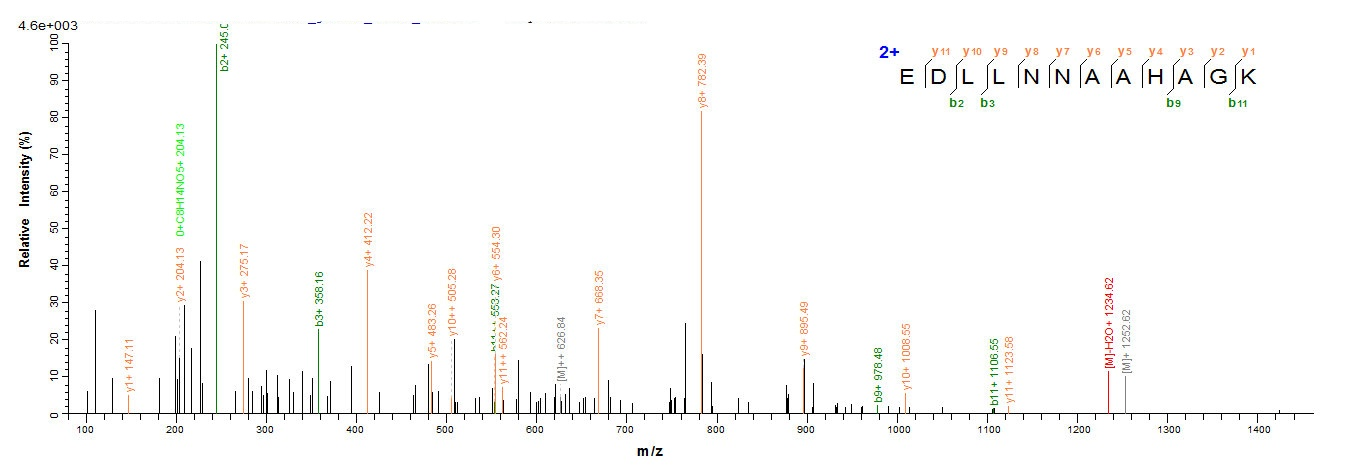 Human ABAT Protein蛋白，orb8229，b