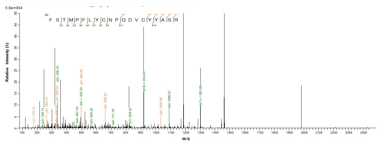 Mouse Collagen IV Protein蛋白，or
