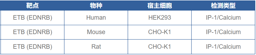 探索ETBR:血管稳态的关键“调节器”