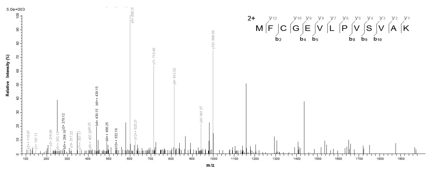 Bacteria dltA Protein蛋白，orb604