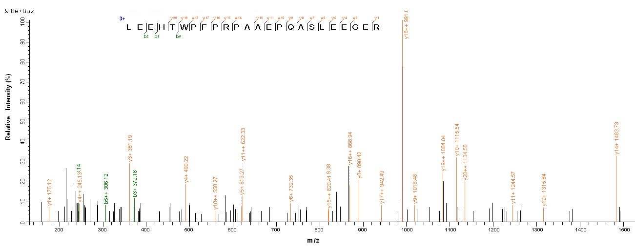 human FAM167A Protein蛋白,orb547