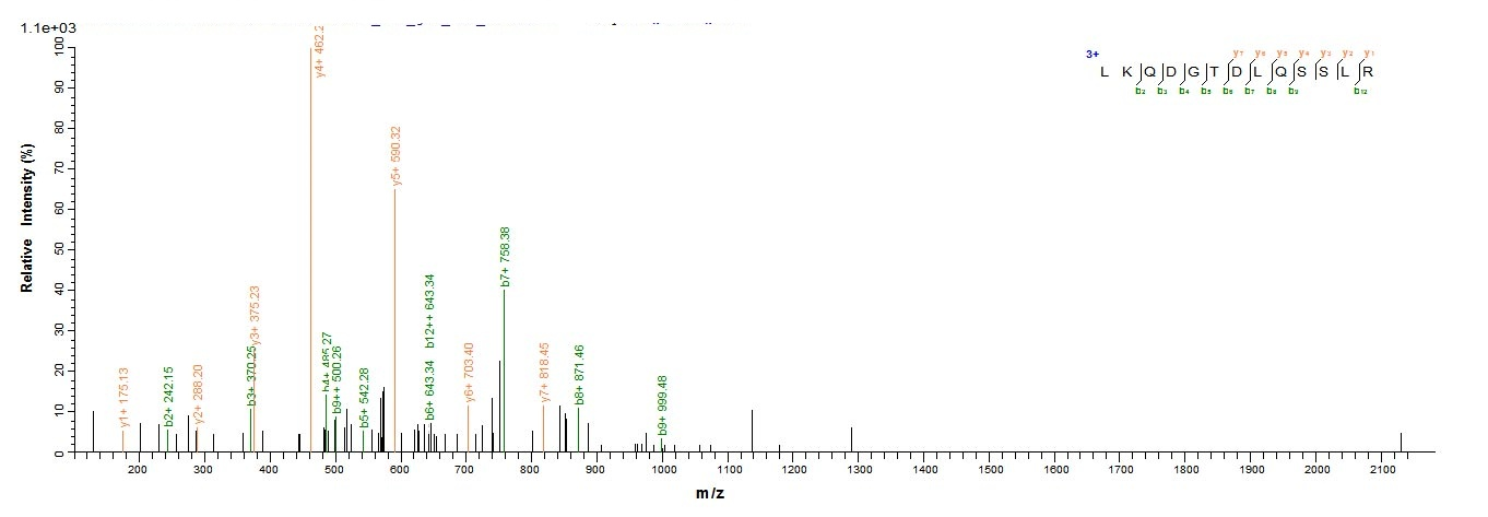 Mouse Pcnt Protein蛋白，orb604299