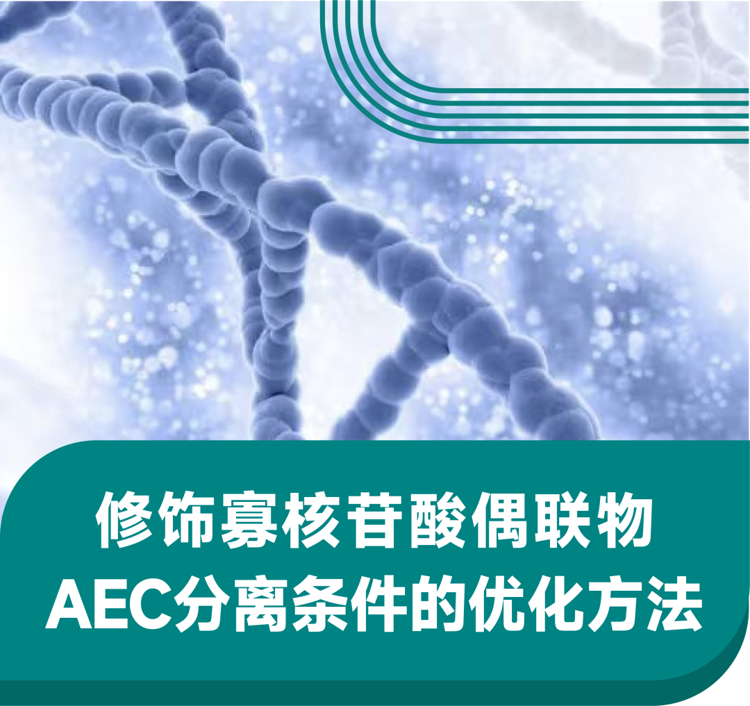 修饰寡核苷酸偶联物AEC分离条件的优化方法