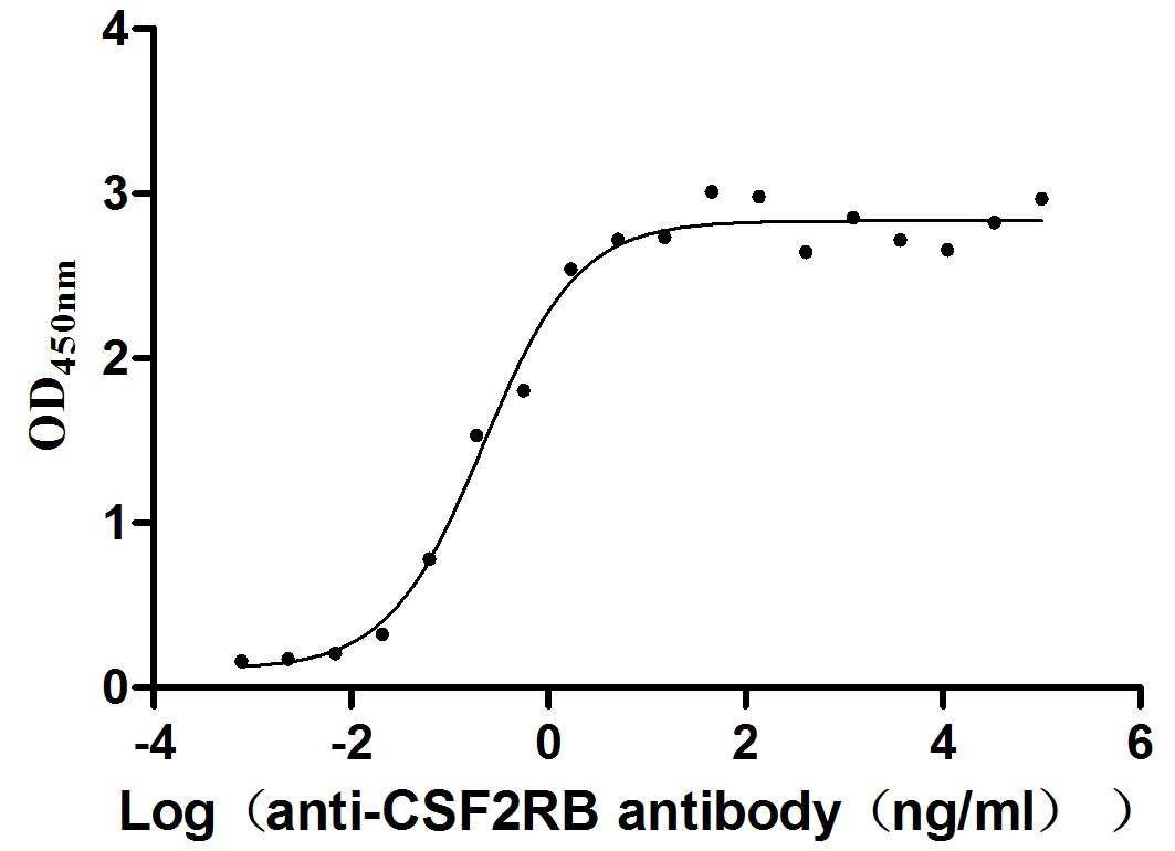 重组蛋白 Human Cytokine receptor c