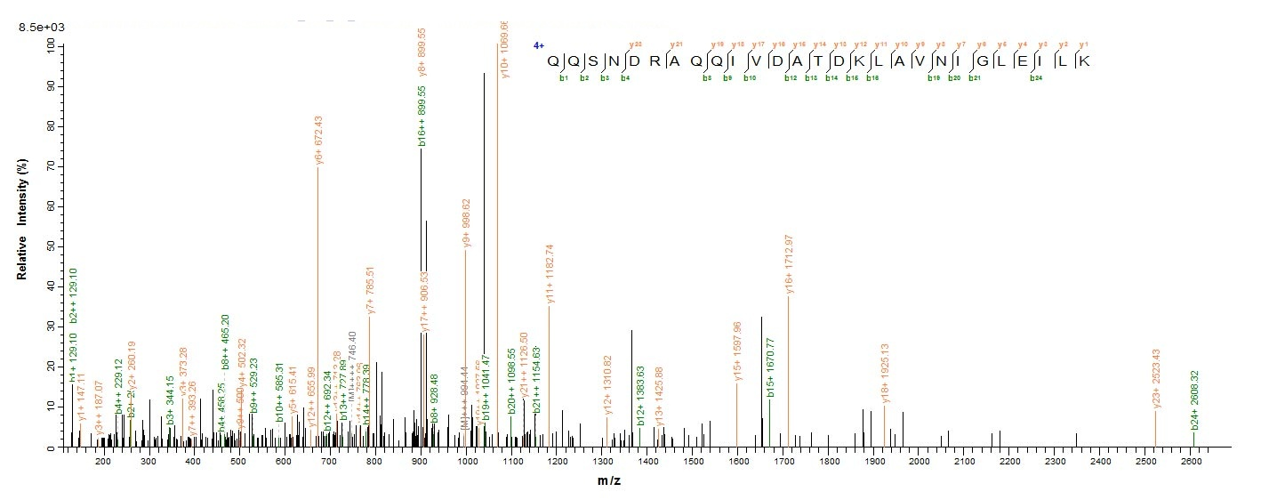 E. coli talB Protein蛋白,orb6047