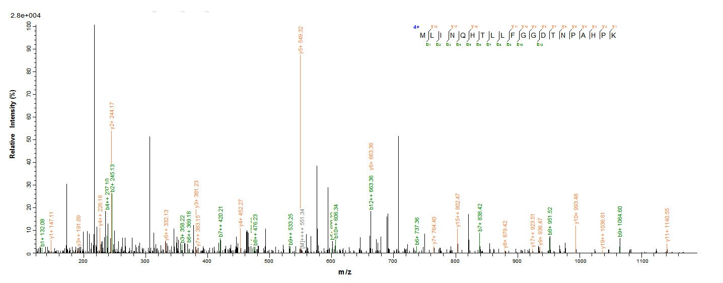 Mouse Pdk3 Protein蛋白，orb54212，
