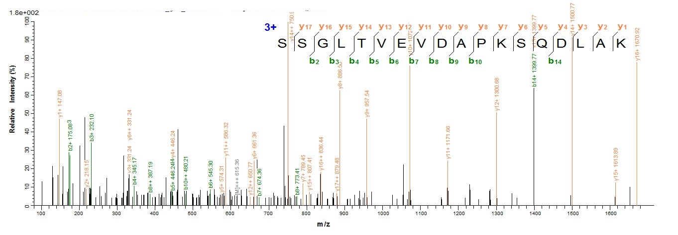 Human KRT18 Protein蛋白，orb54090