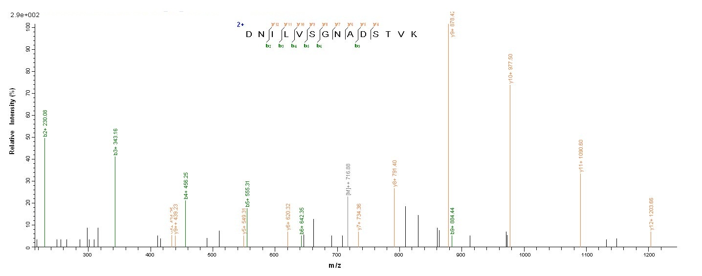 Human FBXW7 Protein蛋白，orb54702