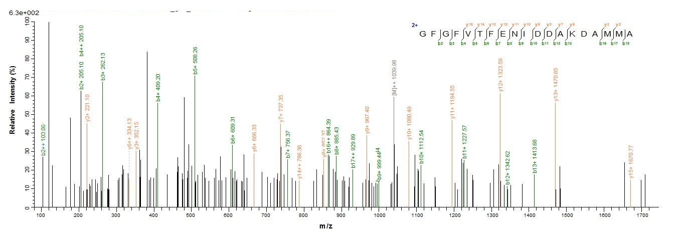 Mouse Cirbp Protein蛋白，orb60397
