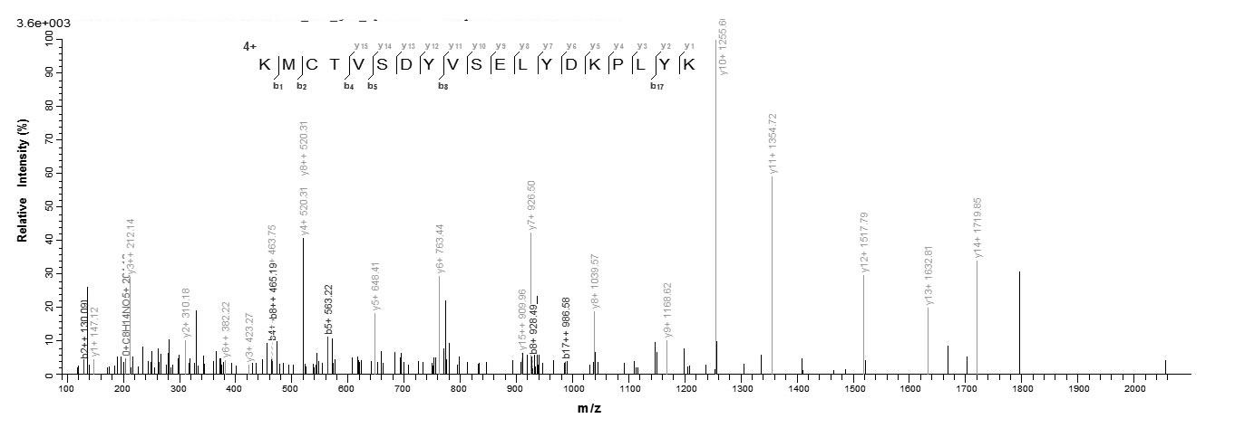 Virus PS/HR Protein蛋白，orb59505