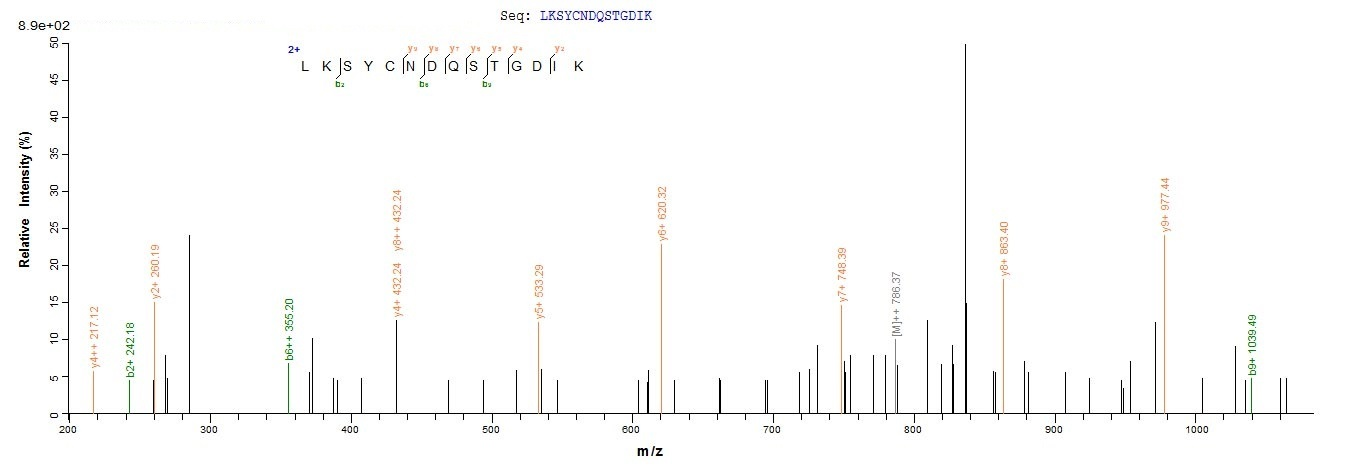 Human HPRT1 Protein蛋白，orb70460