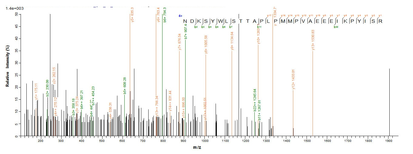 Mouse Collagen IV Protein蛋白，or