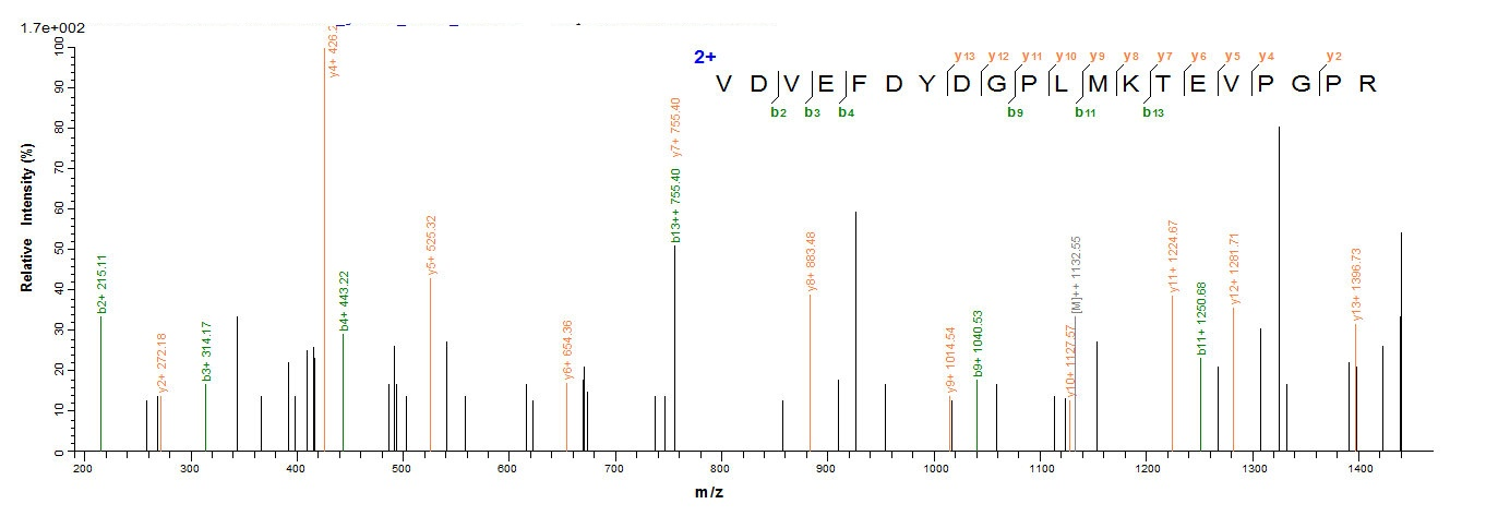 Human ABAT Protein蛋白，orb8229，b