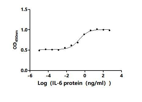 Human IL6 Protein蛋白，orb604194，