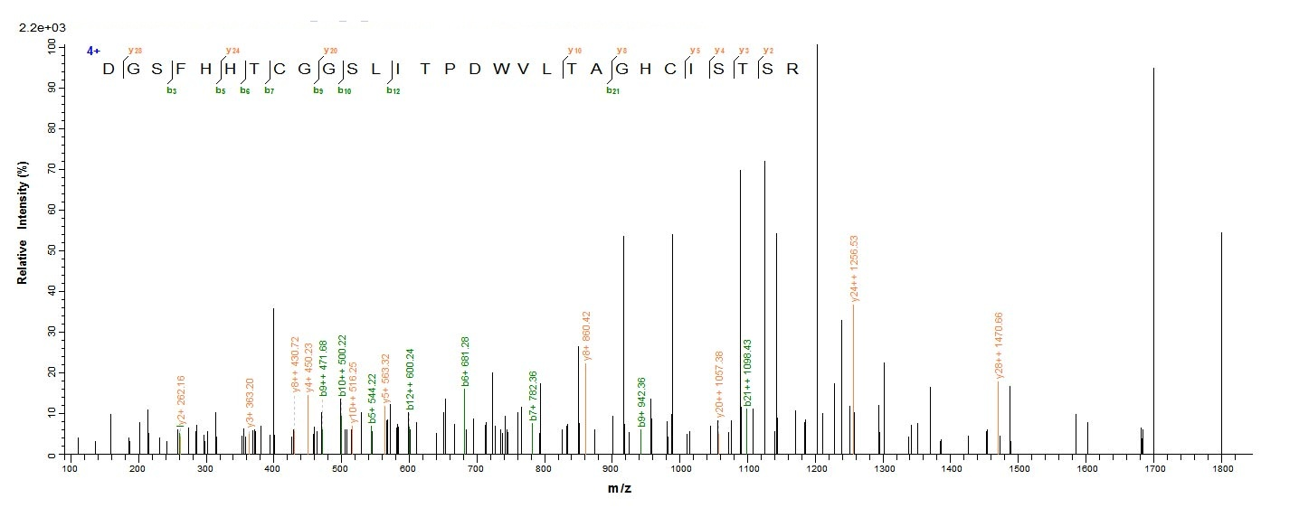 Mouse Cela3b Protein蛋白，orb4187