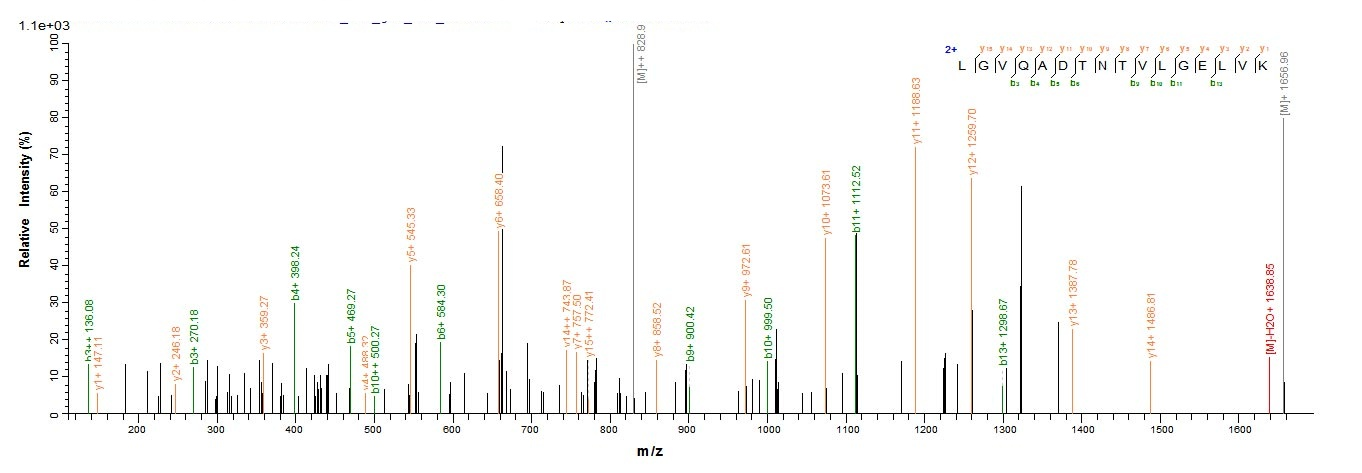 Mouse Zc3h12a Protein蛋白，orb604