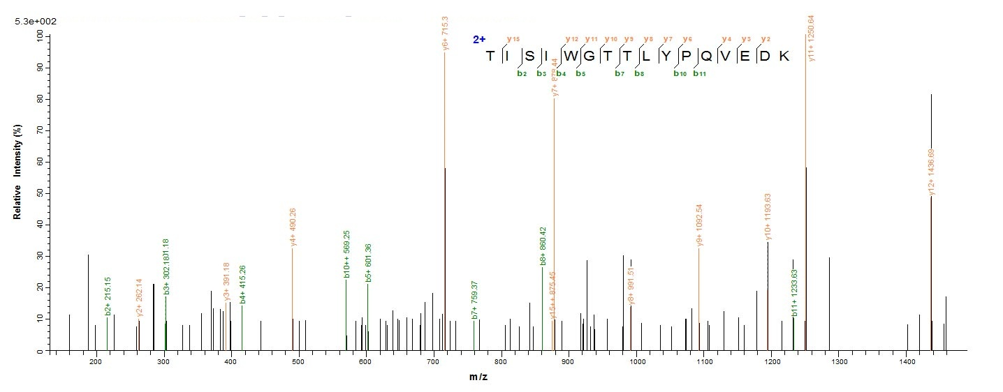Bacterial PLY Protein蛋白,orb419
