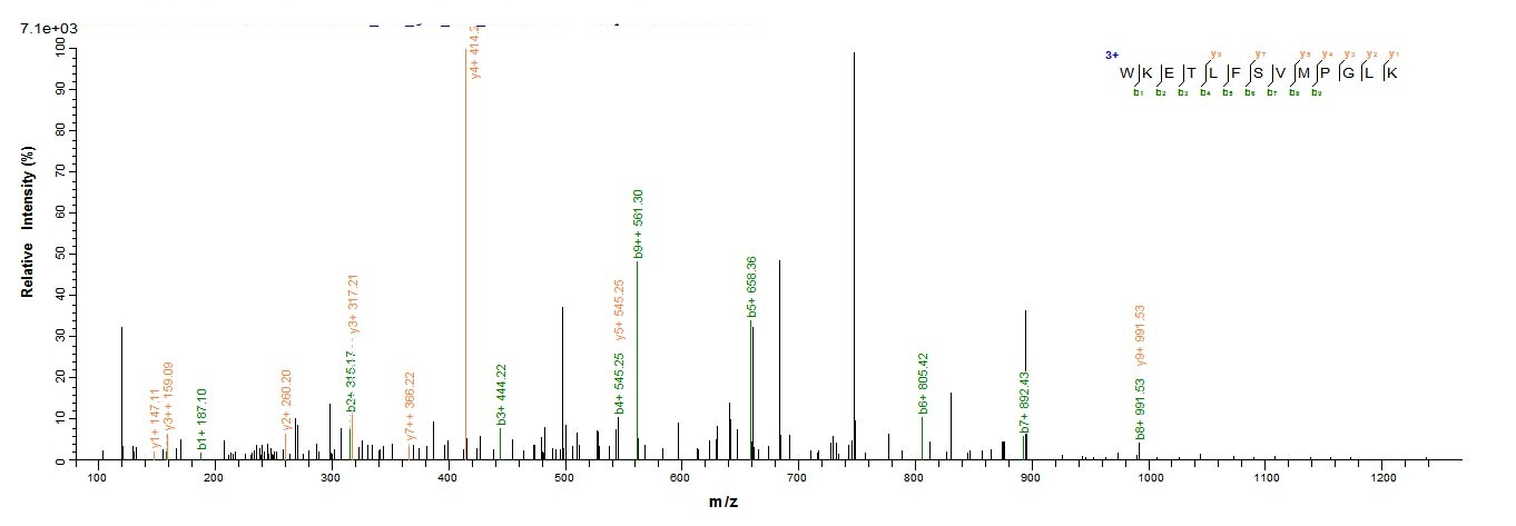 Human ITIH4 Protein蛋白，orb60548