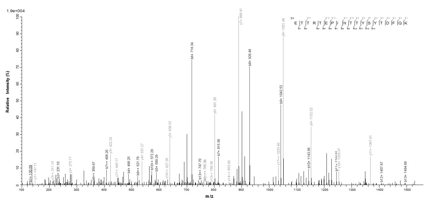 Human DCAF16 Protein蛋白，orb6051