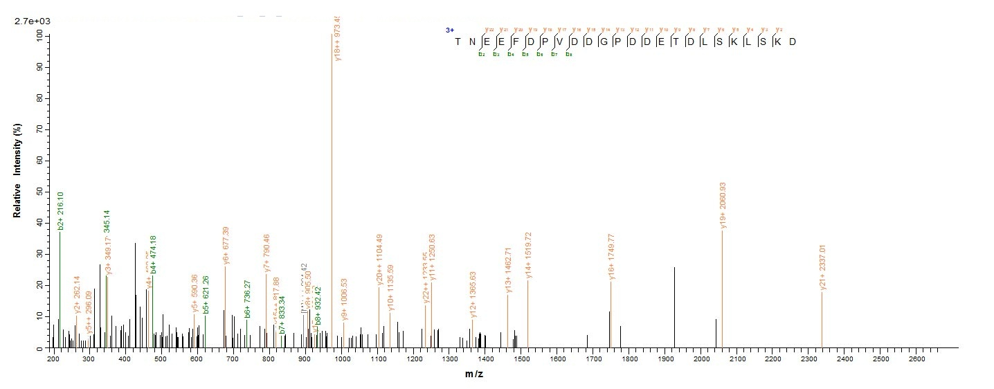 Virus PS/HR Protein蛋白，orb60541