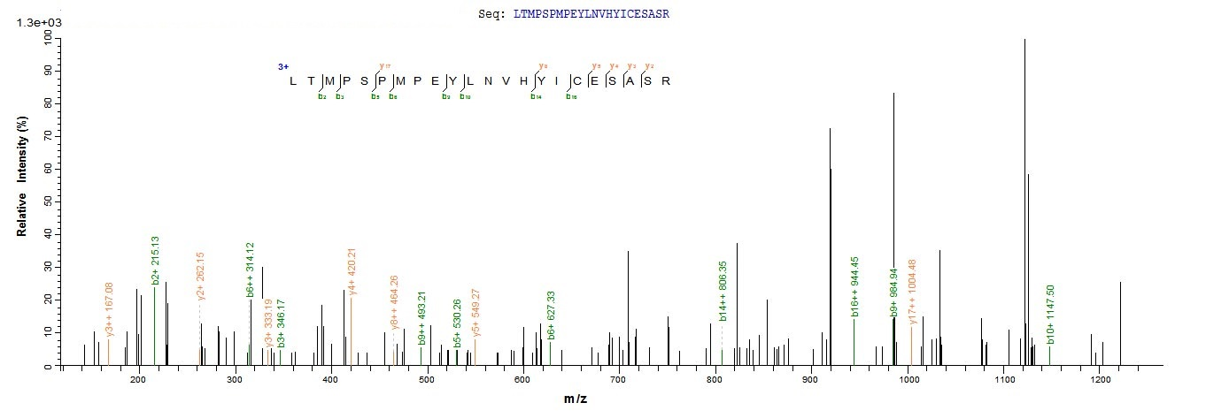 重组蛋白 Human Nuclear receptor su