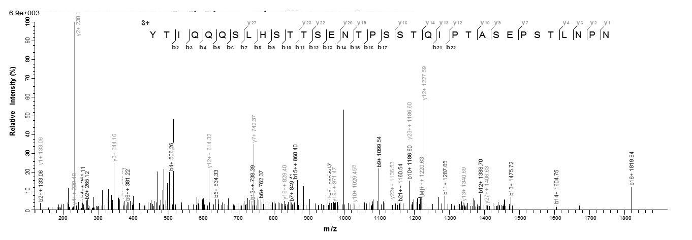 Virus G Protein蛋白，orb604604，bi