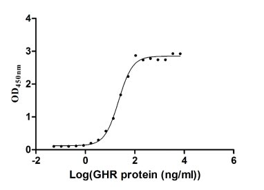 Human GH1 Protein蛋白，orb605219，