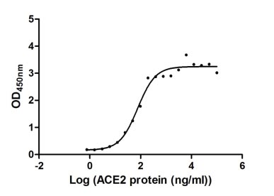 Human Angiotensin-converting e