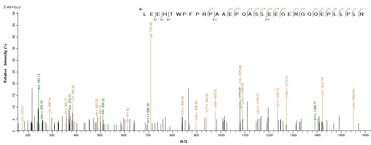 human FAM167A Protein蛋白,orb547