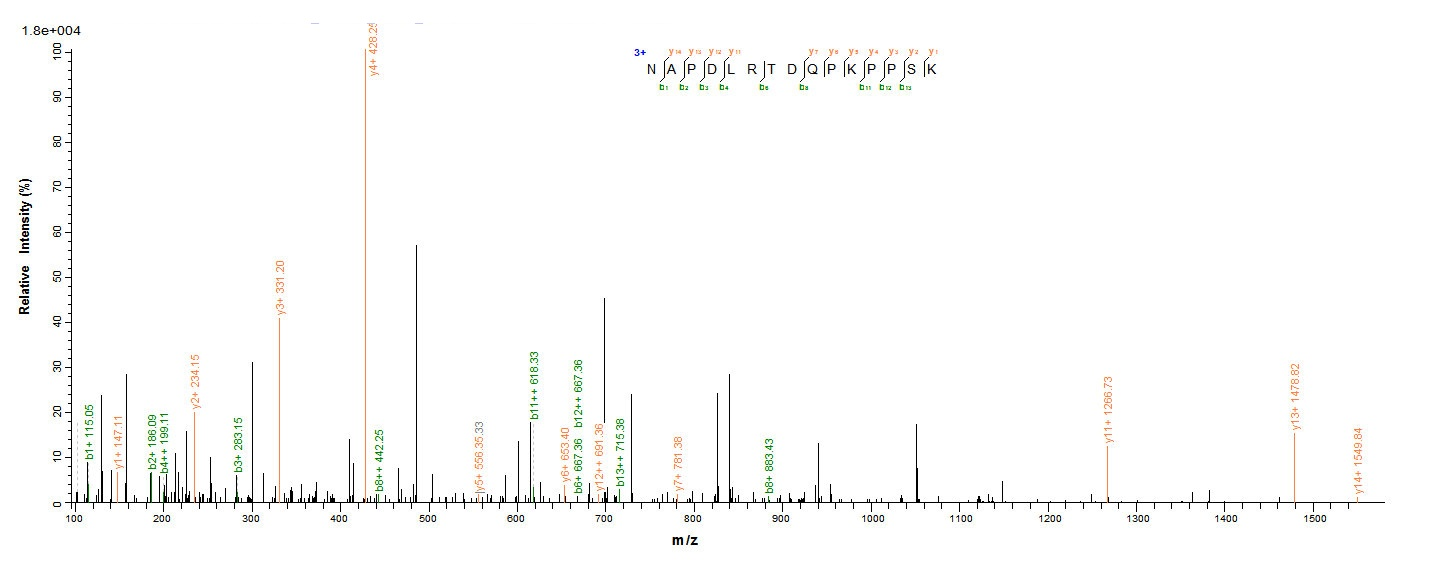 Viral VP3 Protein蛋白，orb54211，b