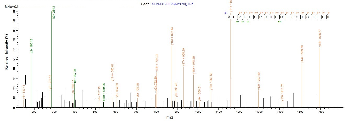 重组蛋白 Human Nuclear receptor su