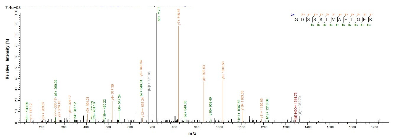 Human RB1CC1 Protein蛋白,orb6050