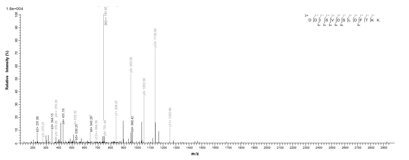 Human PPP2R2C Protein蛋白，orb595