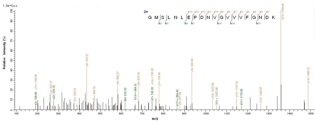 Human ATP5A1 Protein蛋白，orb4187