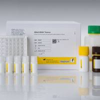 RIDASCREEN® Walnut (核桃检测试剂盒)