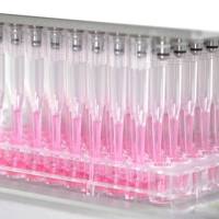 高通量药物敏感性筛选