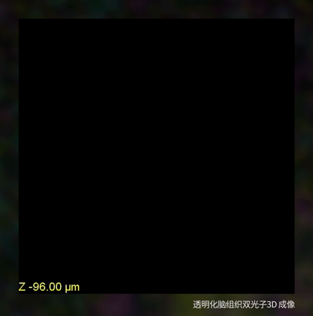 FLUOVIEW FV5000 智能全光谱共聚焦显微镜